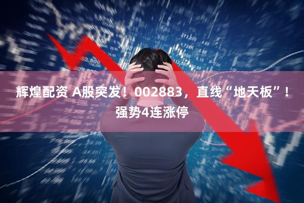 辉煌配资 A股突发！002883，直线“地天板”！强势4连涨停
