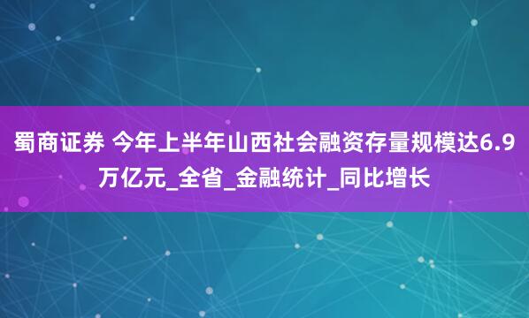 蜀商证券 今年上半年山西社会融资存量规模达6.9万亿元_全省_金融统计_同比增长