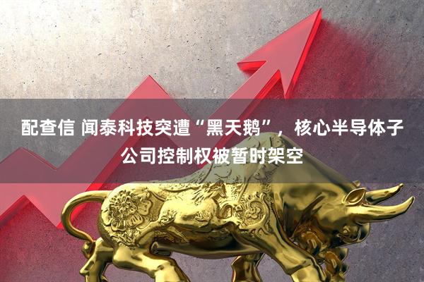 配查信 闻泰科技突遭“黑天鹅”，核心半导体子公司控制权被暂时架空