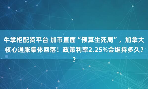 牛掌柜配资平台 加币直面“预算生死局”，加拿大核心通胀集体回落！政策利率2.25%会维持多久？