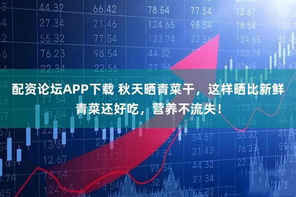 配资论坛APP下载 秋天晒青菜干，这样晒比新鲜青菜还好吃，营养不流失！