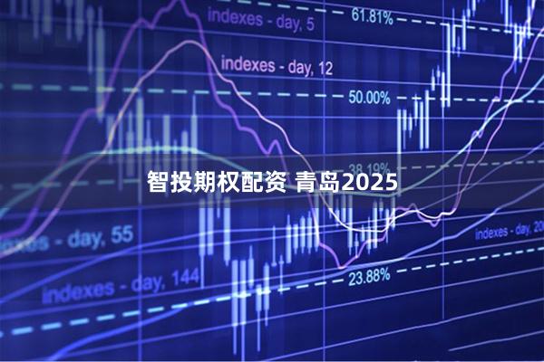 智投期权配资 青岛2025